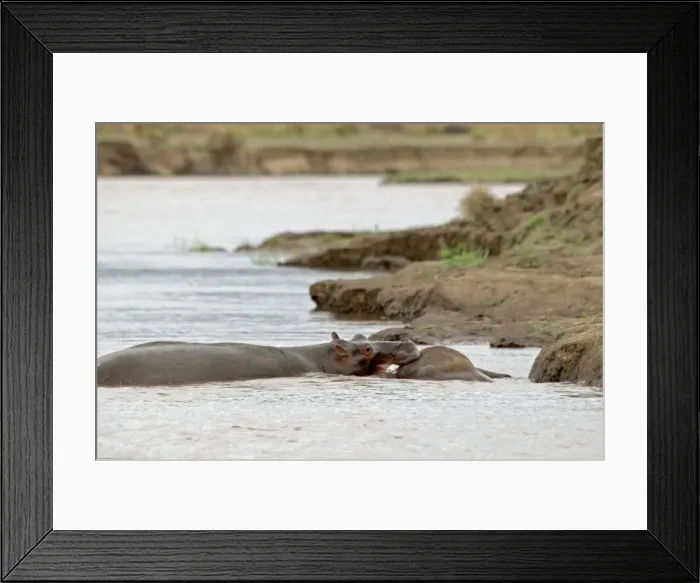 Framed Print : Picture No. 10891459