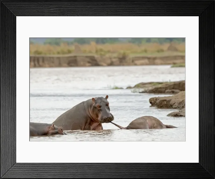 Framed Print : Picture No. 10891458 Framed Print : Picture No. 10891458