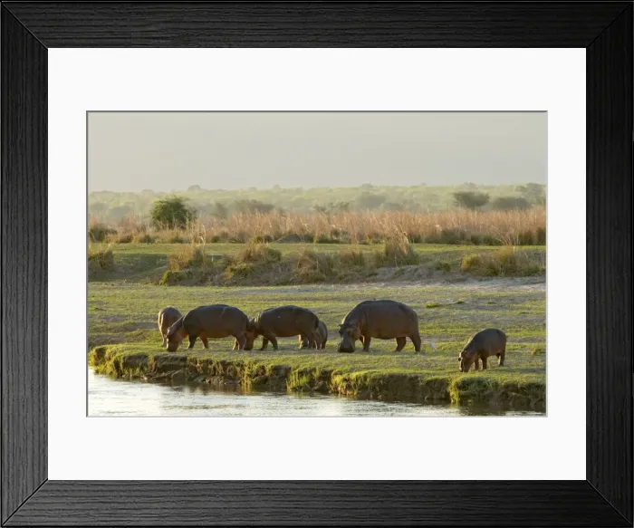Framed Print : Picture No. 10891462 Framed Print : Picture No. 10891462