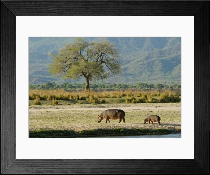 Framed Print : Picture No. 10891463 Framed Print : Picture No. 10891463