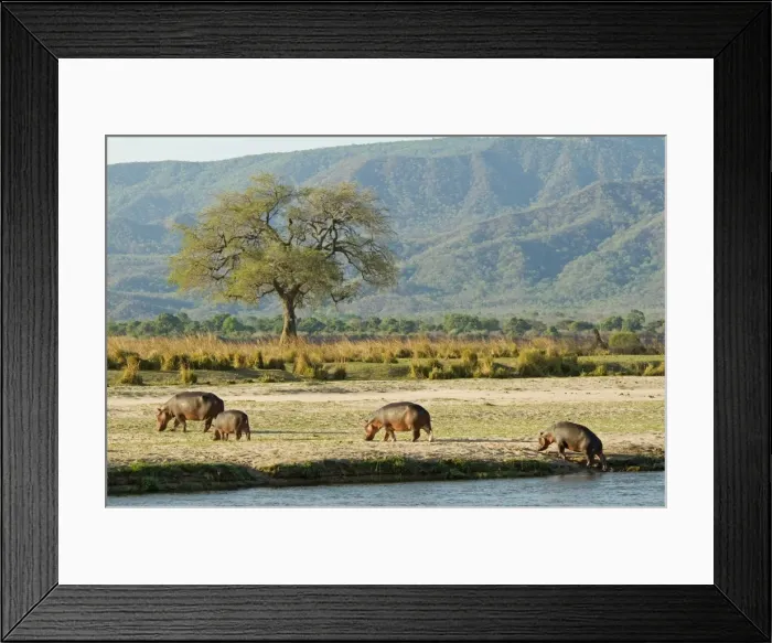 Framed Print : Picture No. 10891460 Framed Print : Picture No. 10891460