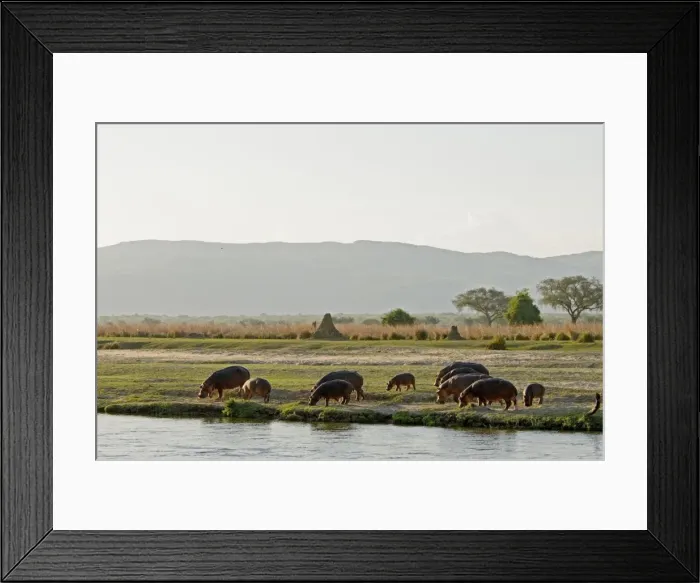 Framed Print : Picture No. 10891461 Framed Print : Picture No. 10891461