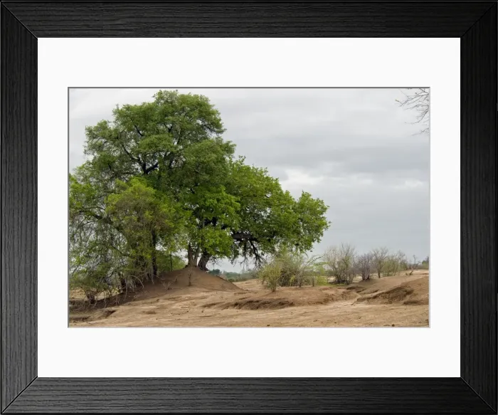 Framed Print : Picture No. 10891472 Framed Print : Picture No. 10891472
