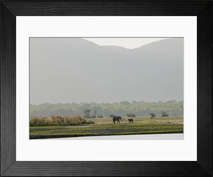 Framed Print : Picture No. 10891473 Framed Print : Picture No. 10891473