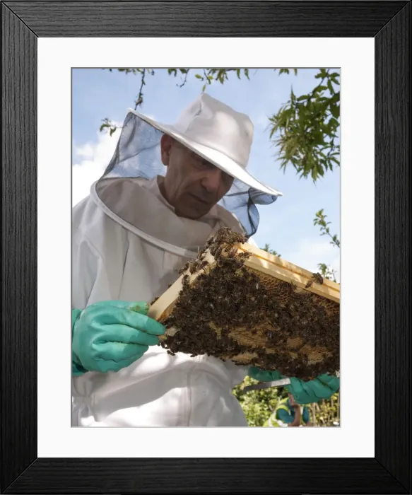 Framed Print : Picture No. 10891488