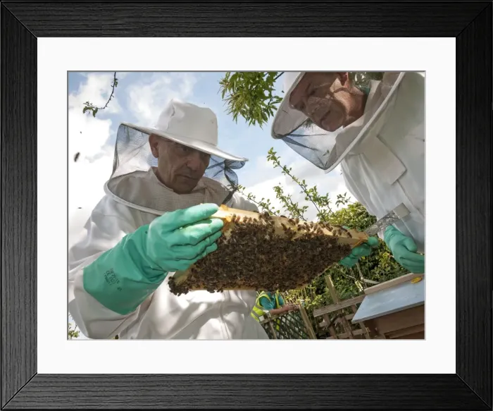 Framed Print : Picture No. 10891487 Framed Print : Picture No. 10891487