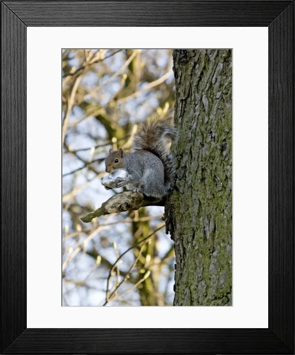 Framed Print : Picture No. 10891515 Framed Print : Picture No. 10891515