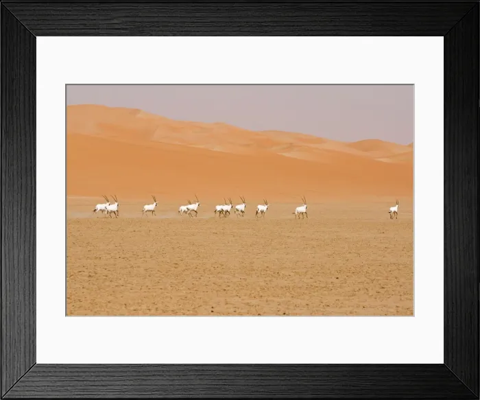 Framed Print : Picture No. 10891521 Framed Print : Picture No. 10891521