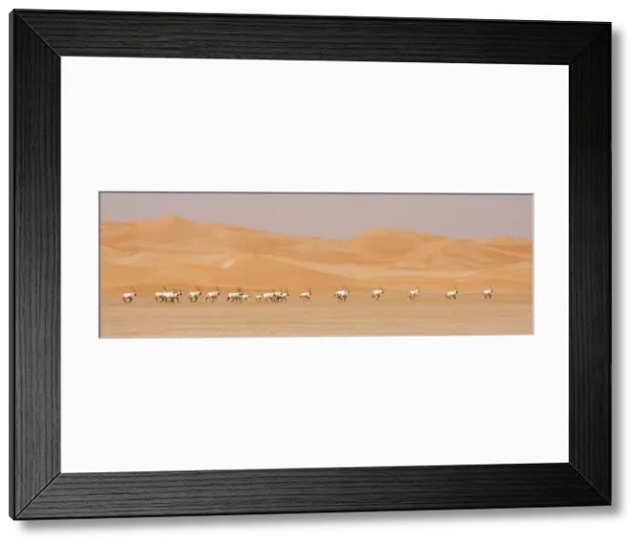 Framed Print : Picture No. 10891522 Framed Print : Picture No. 10891522
