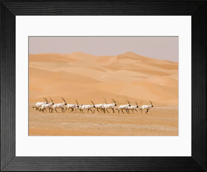 Framed Print : Picture No. 10891523 Framed Print : Picture No. 10891523