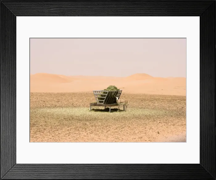 Framed Print : Picture No. 10891524 Framed Print : Picture No. 10891524