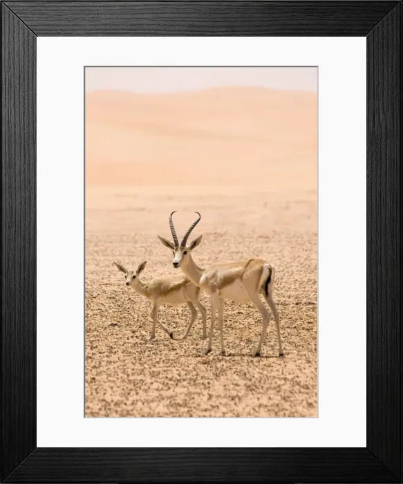 Framed Print : Picture No. 10891528 Framed Print : Picture No. 10891528