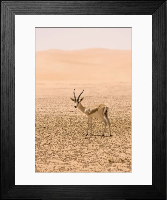 Framed Print : Picture No. 10891527 Framed Print : Picture No. 10891527