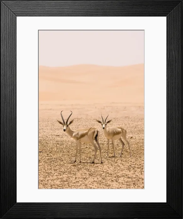 Framed Print : Picture No. 10891529 Framed Print : Picture No. 10891529