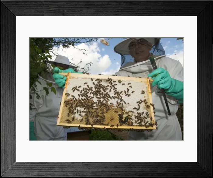Framed Print : Picture No. 10891534 Framed Print : Picture No. 10891534