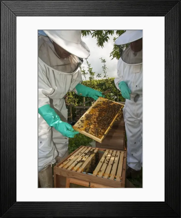 Framed Print : Picture No. 10891538 Framed Print : Picture No. 10891538