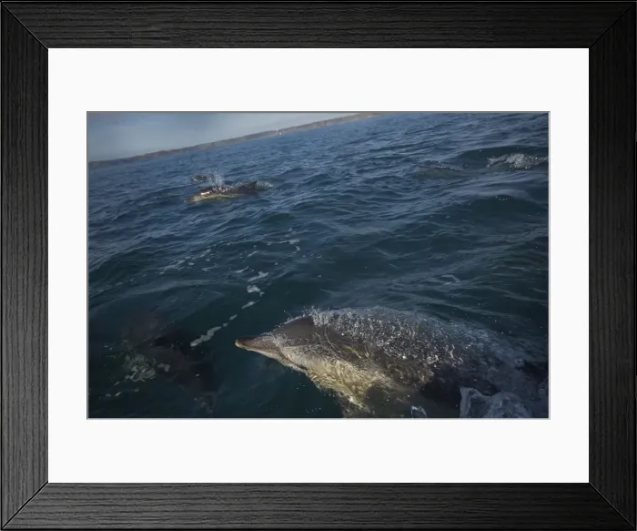 Framed Print : Picture No. 10891568 Framed Print : Picture No. 10891568