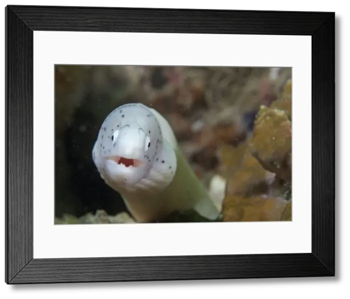 Framed Print : Picture No. 10891570 Framed Print : Picture No. 10891570