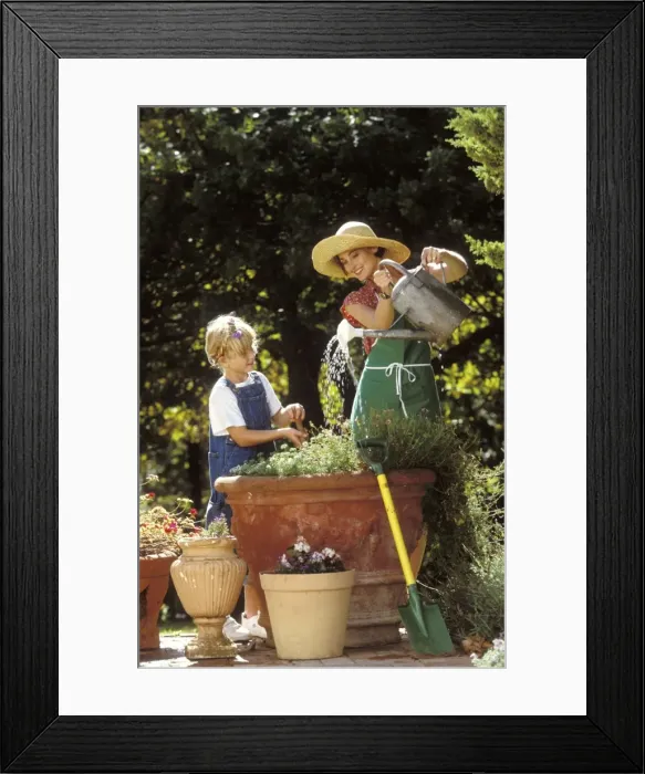 Framed Print : Picture No. 10891589 Framed Print : Picture No. 10891589