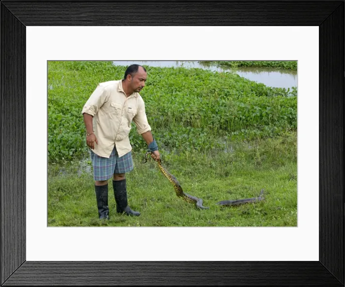 Framed Print : Picture No. 10891600 Framed Print : Picture No. 10891600