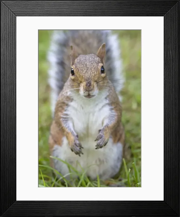 Framed Print : Picture No. 10891634 Framed Print : Picture No. 10891634
