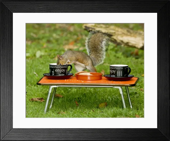 Framed Print : Picture No. 10891641 Framed Print : Picture No. 10891641