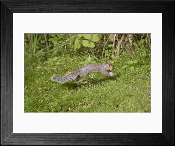 Framed Print : Picture No. 10891637 Framed Print : Picture No. 10891637