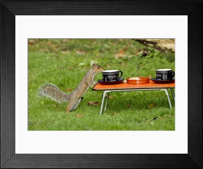 Framed Print : Picture No. 10891640 Framed Print : Picture No. 10891640