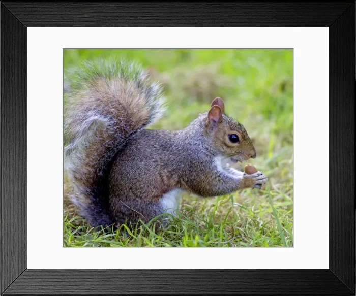 Framed Print : Picture No. 10891638 Framed Print : Picture No. 10891638