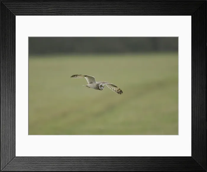 Framed Print : Picture No. 10891656 Framed Print : Picture No. 10891656