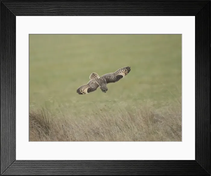 Framed Print : Picture No. 10891658 Framed Print : Picture No. 10891658