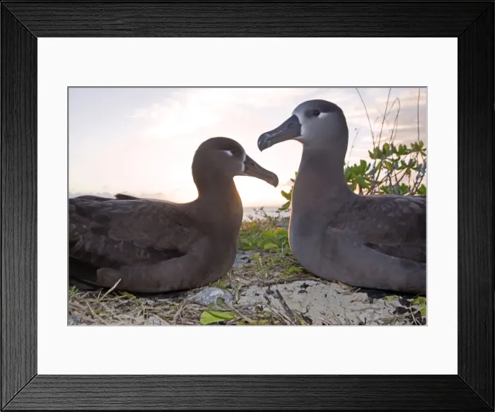 Framed Print : Picture No. 10891719 Framed Print : Picture No. 10891719
