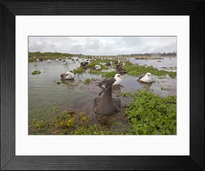 Framed Print : Picture No. 10891718 Framed Print : Picture No. 10891718