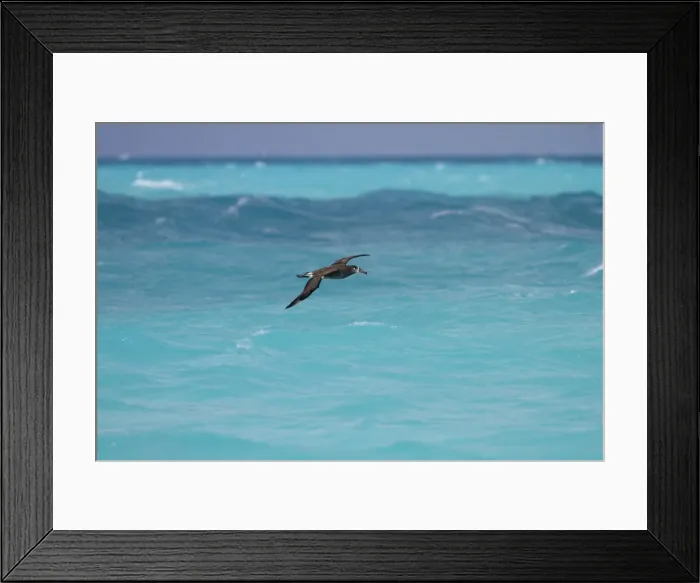 Framed Print : Picture No. 10891727 Framed Print : Picture No. 10891727