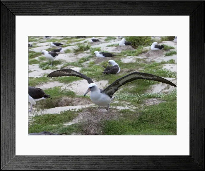 Framed Print : Picture No. 10891745 Framed Print : Picture No. 10891745