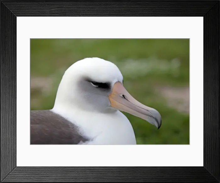 Framed Print : Picture No. 10891746 Framed Print : Picture No. 10891746
