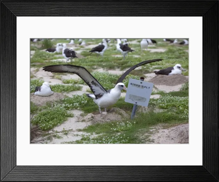 Framed Print : Picture No. 10891743 Framed Print : Picture No. 10891743