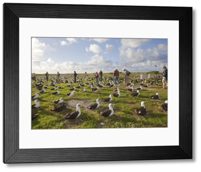 Framed Print : Picture No. 10891749 Framed Print : Picture No. 10891749