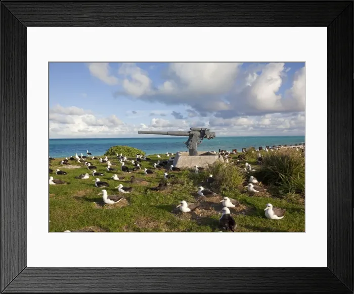Framed Print : Picture No. 10891750 Framed Print : Picture No. 10891750