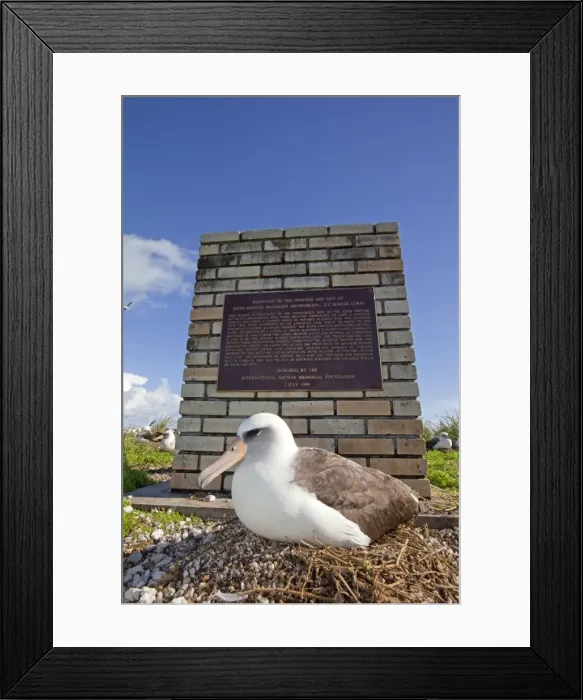 Framed Print : Picture No. 10891758 Framed Print : Picture No. 10891758