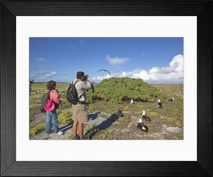 Framed Print : Picture No. 10891760 Framed Print : Picture No. 10891760