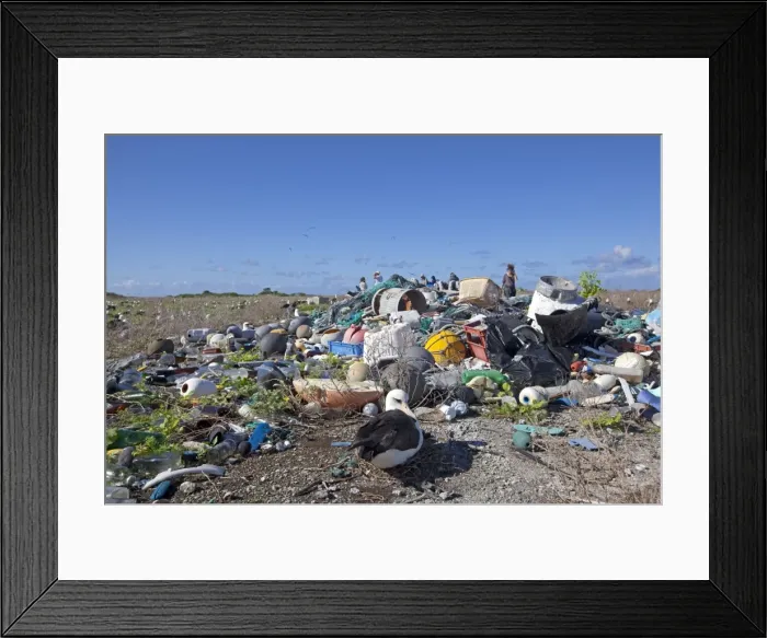 Framed Print : Picture No. 10891761 Framed Print : Picture No. 10891761