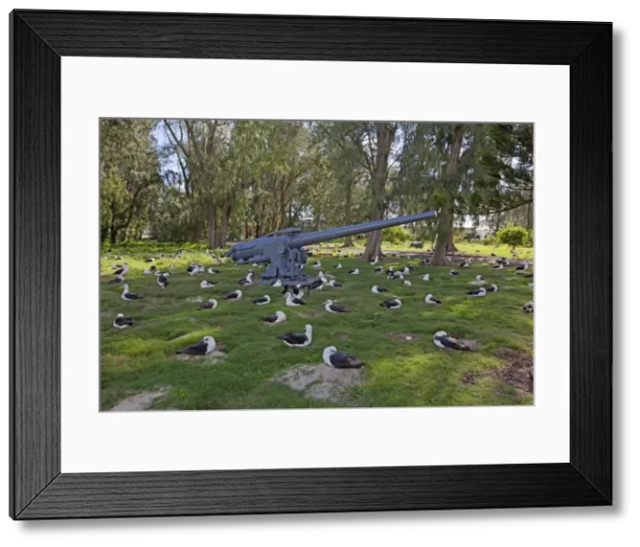 Framed Print : Picture No. 10891765 Framed Print : Picture No. 10891765