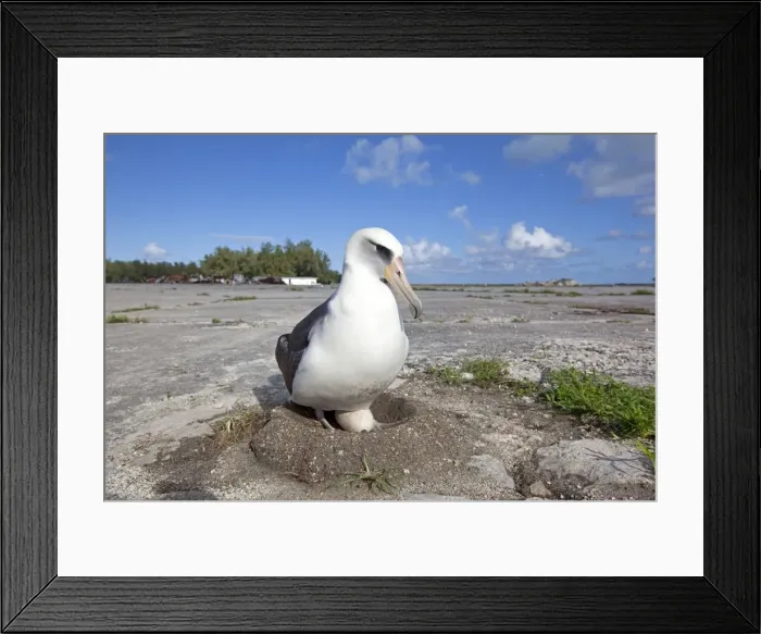 Framed Print : Picture No. 10891767 Framed Print : Picture No. 10891767