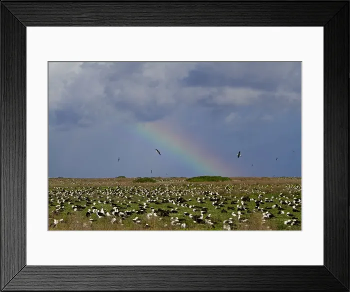 Framed Print : Picture No. 10891778 Framed Print : Picture No. 10891778