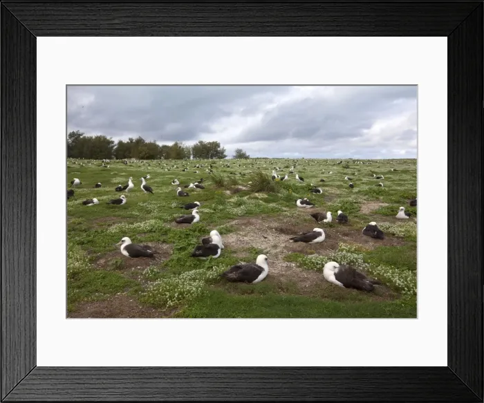 Framed Print : Picture No. 10891782 Framed Print : Picture No. 10891782