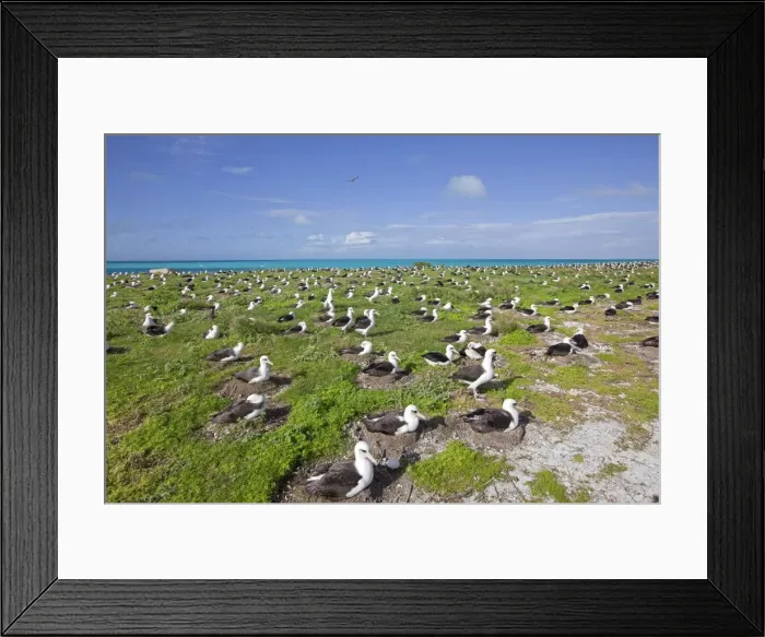 Framed Print : Picture No. 10891786 Framed Print : Picture No. 10891786
