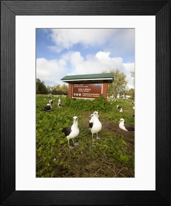 Framed Print : Picture No. 10891784 Framed Print : Picture No. 10891784
