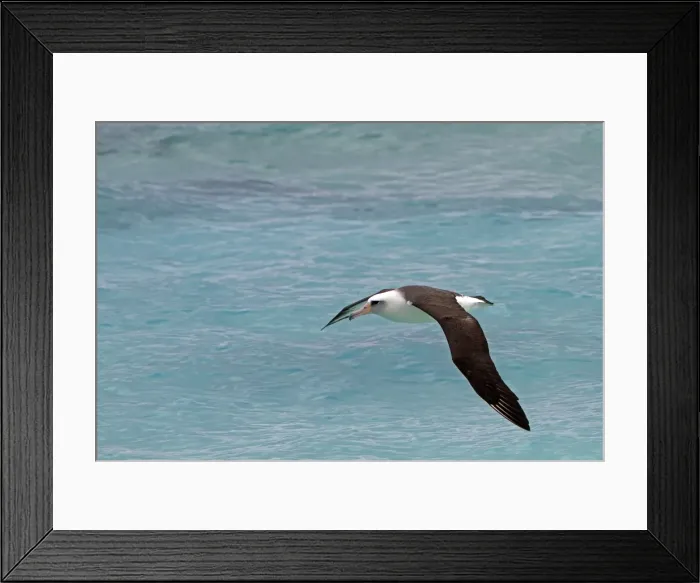 Framed Print : Picture No. 10891794 Framed Print : Picture No. 10891794