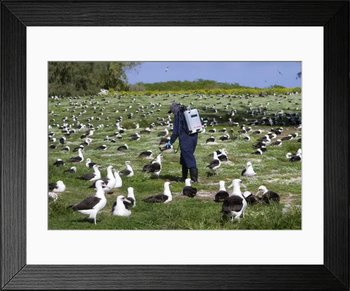 Framed Print : Picture No. 10891796 Framed Print : Picture No. 10891796